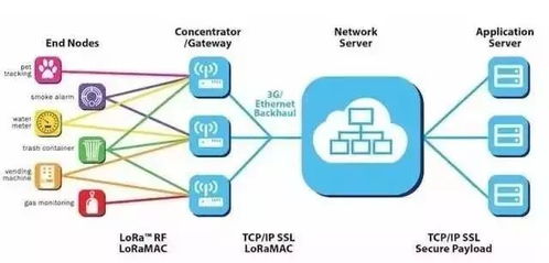 無(wú)線(xiàn)通信網(wǎng)絡(luò)之LORA技術(shù)及其在信息系統(tǒng)集成服務(wù)中的應(yīng)用